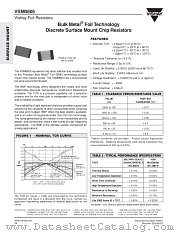 VSM0805 datasheet pdf Vishay