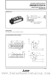 QM30E2Y datasheet pdf Mitsubishi Electric Corporation