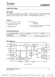 U4289BM datasheet pdf TEMIC