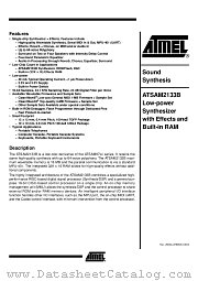 ATSAM2133B datasheet pdf Atmel