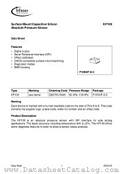 KP100 datasheet pdf Infineon