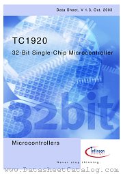 SAF-TC1920-LEBBA datasheet pdf Infineon