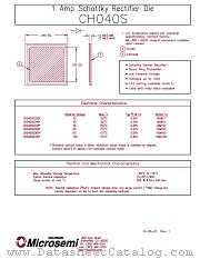 CH040S0050 datasheet pdf Microsemi