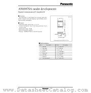 AN6107SA datasheet pdf Panasonic