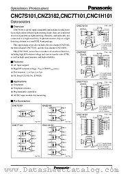 CNC1H101 datasheet pdf Panasonic