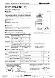 ON2173 datasheet pdf Panasonic