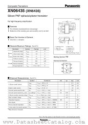 XN06435 datasheet pdf Panasonic