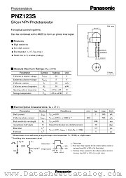Z123 datasheet pdf Panasonic