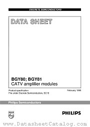BGY80 datasheet pdf Philips