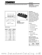 CDD10810 datasheet pdf Powerex Power Semiconductors