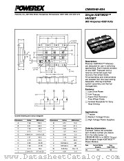 CM900HB-90H datasheet pdf Powerex Power Semiconductors