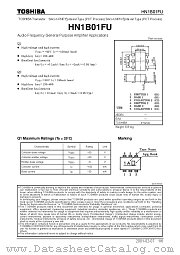 HN1B01FU datasheet pdf TOSHIBA
