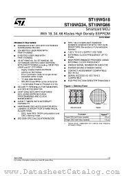 ST19WG34 datasheet pdf ST Microelectronics