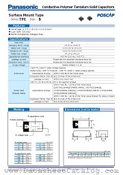8TPE100MAZB datasheet pdf Panasonic