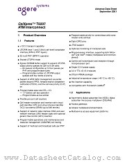 T8207-BAL-DT datasheet pdf Agere Systems