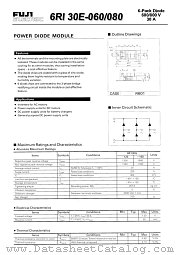 2RI30E-060_080 datasheet pdf Fuji Electric