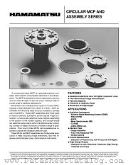 F2224-29 datasheet pdf Hamamatsu Corporation