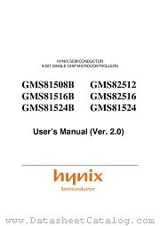 GMS81524BT datasheet pdf Hynix Semiconductor