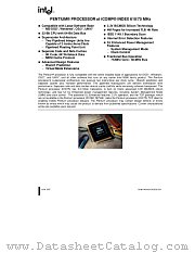A610 datasheet pdf Intel