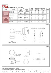 R-2202E-5V datasheet pdf PARA Light