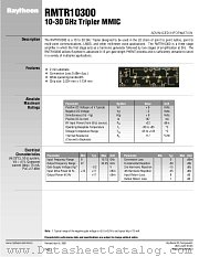 RMTR10300 datasheet pdf Raytheon