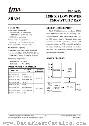T15N1024A-55DI datasheet pdf TM Technology