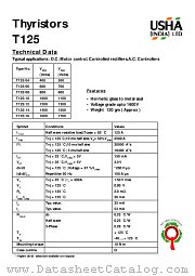 T125_04 datasheet pdf USHA India LTD