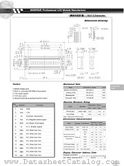 WH1601B datasheet pdf WSTAR