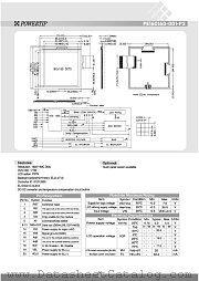 PE160160-001-P2 datasheet pdf Powertip Technology