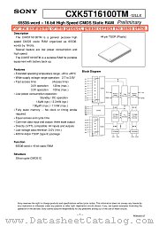 CXK5T16100TM datasheet pdf SONY