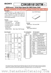 CXK5B18120TM datasheet pdf SONY