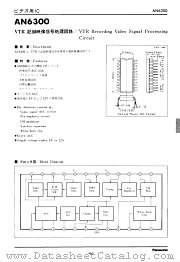 AN6300 datasheet pdf Matsushita Electric Works(Nais)