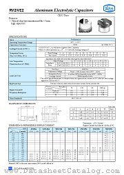 RV2-16V datasheet pdf Lelon Electronics