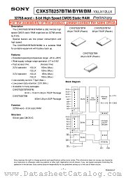 CXK5T8257BTM-10LLX datasheet pdf SONY