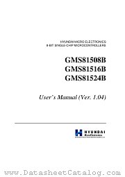 GMS81524BT LQ datasheet pdf Hynix Semiconductor