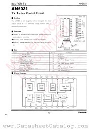 AN5031 datasheet pdf Panasonic