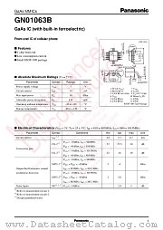 GN01063B datasheet pdf Panasonic