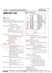 MN187124 datasheet pdf Panasonic
