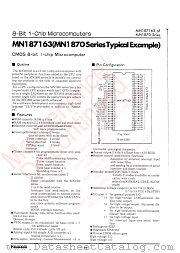 MN187163 datasheet pdf Panasonic