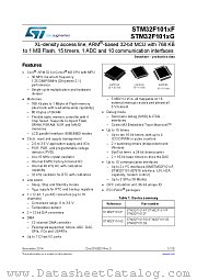 STM32F101VG datasheet pdf ST Microelectronics