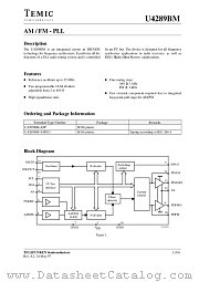 U4289BM-AFPG3 datasheet pdf TEMIC