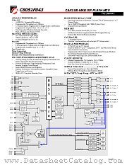 C8051F043 datasheet pdf CYGNAL Integrated Products Inc