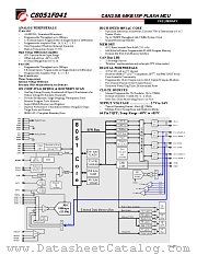 C8051F041 datasheet pdf CYGNAL Integrated Products Inc