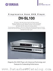 DV-SL100 datasheet pdf etc