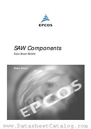 B5006 datasheet pdf EPCOS