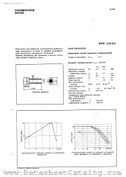 RPYP62 datasheet pdf Ultra CEMI