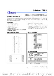 W24100 datasheet pdf Winbond Electronics