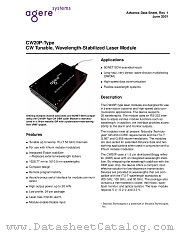 CW22P51 datasheet pdf Agere Systems