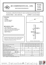 R3000 datasheet pdf DC Components