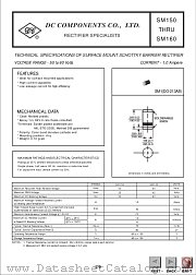 SM160 datasheet pdf DC Components